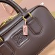 Replica Miu Miu Briarwood Arcadie Bag Front View